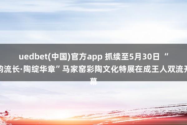 uedbet(中国)官方app 抓续至5月30日 “彩韵流长·陶绽华章”马家窑彩陶文化特展在成王人双流开幕