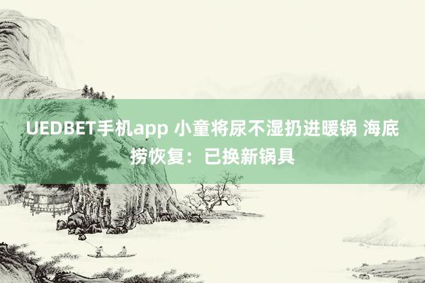 UEDBET手机app 小童将尿不湿扔进暖锅 海底捞恢复：已换新锅具