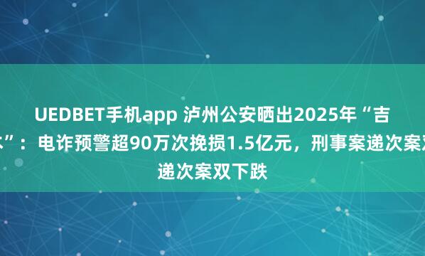 UEDBET手机app 泸州公安晒出2025年“吉祥账本”：电诈预警超90万次挽损1.5亿元，刑事案递次案双下跌