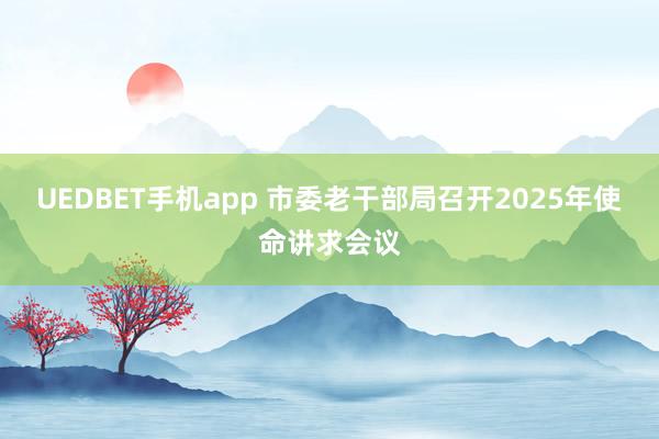 UEDBET手机app 市委老干部局召开2025年使命讲求会议