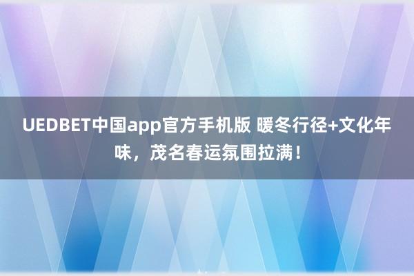 UEDBET中国app官方手机版 暖冬行径+文化年味，茂名春运氛围拉满！