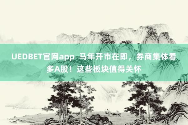UEDBET官网app  马年开市在即，券商集体看多A股！这些板块值得关怀