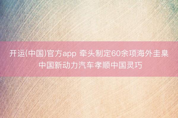 开运(中国)官方app 牵头制定60余项海外圭臬 中国新动力汽车孝顺中国灵巧