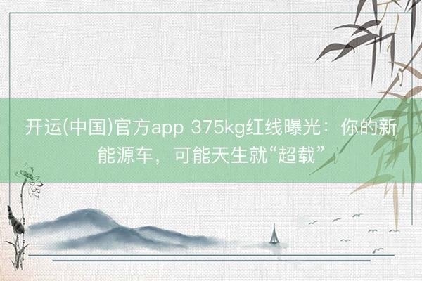 开运(中国)官方app 375kg红线曝光：你的新能源车，可能天生就“超载”