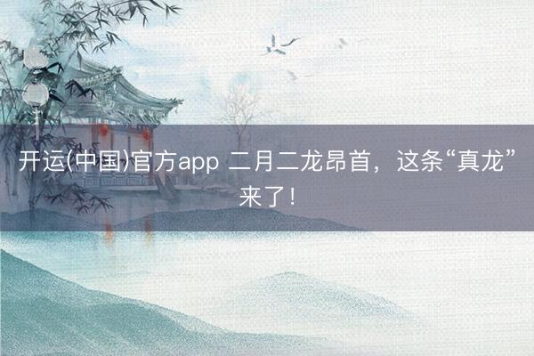 开运(中国)官方app 二月二龙昂首，这条“真龙”来了！