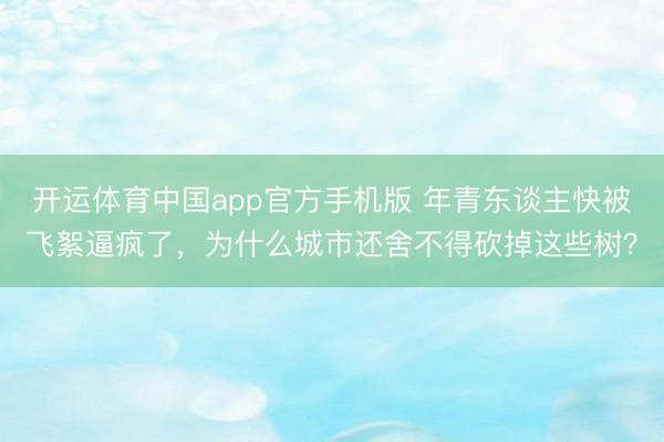 开运体育中国app官方手机版 年青东谈主快被飞絮逼疯了，为什么城市还舍不得砍掉这些树？