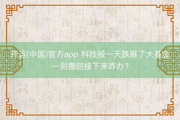 开运(中国)官方app 科技股一天跌麻了大基金一刹撤回接下来咋办?